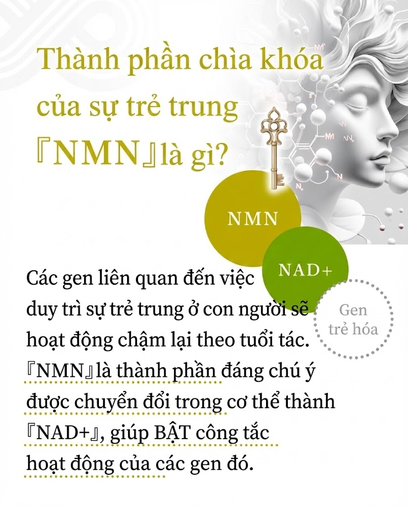 ABE YOAN-DO NMN 13 SERUM - Ảnh 4